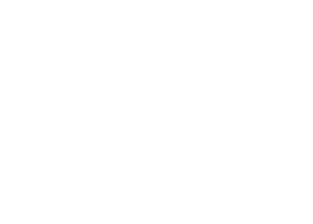 logo_leao_branco